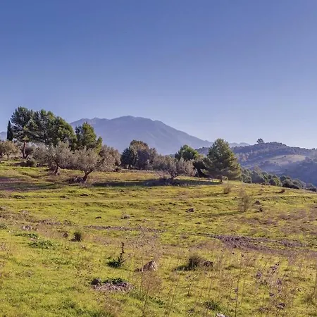 Complejo Rural Mayoralas