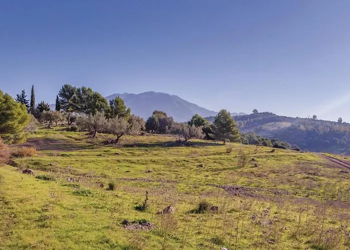 Complejo Rural Mayoralas